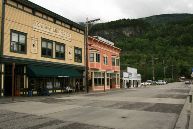 Skagway City Tour and White Pass Summit Adventure - Up the Klondike Highway: Where the White Pass Trail Parallels the Road
