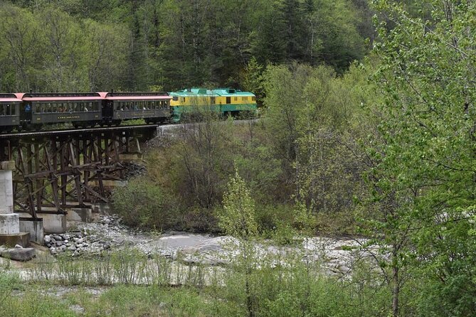 Skagway City Tour and White Pass Summit Adventure - Small Group Energy: Why the 32-Person Limit Helps