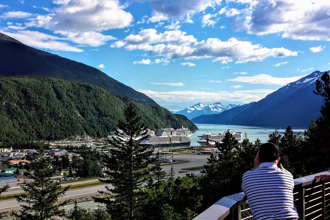 Skagway Shore Excursion: White Pass Summit and Skagway City Tour - Pitchfork Falls and the early scenery payoff