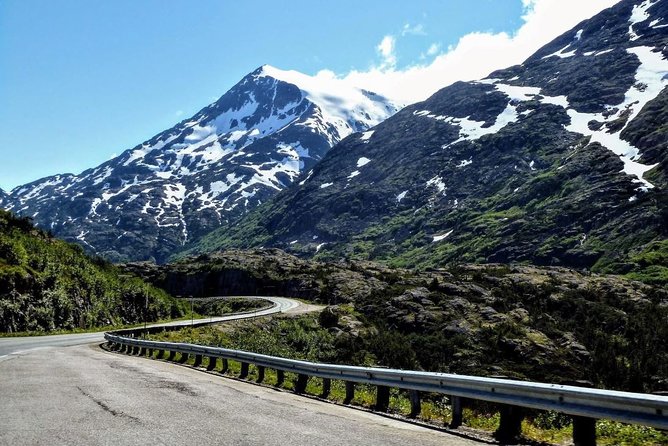 Skagway Shore Excursion: White Pass Summit and Skagway City Tour - Skagway overlook and the Gold Rush Cemetery stories