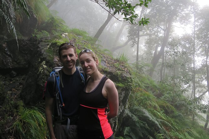 Skeleton Gorge to Table Mountain summit - The early route: indigenous forest and a reservoir-side pause