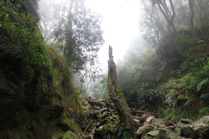 Skeleton Gorge to Table Mountain summit - Small-group pacing: why max 7 feels different