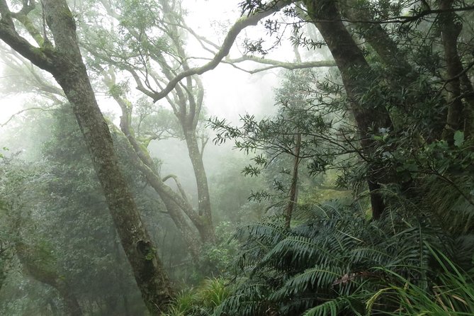 Skeleton Gorge to Table Mountain summit - Timing, tickets, and what to plan around