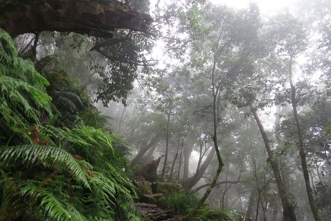 Skeleton Gorge to Table Mountain summit - Topping out at the highest point, then crossing the tabletop