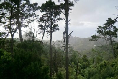 Small Group Guided Hiking in Anaga Rural Park in Tenerife - From Cafetería Carmita toward Monte de La Orilla: the route setup