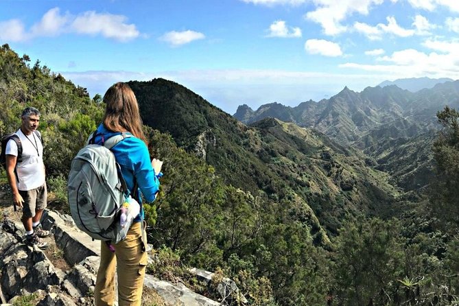 Small Group Guided Hiking in Anaga Rural Park in Tenerife - Price and value: is $67 a fair deal for this kind of hike?