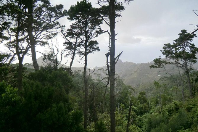 Small Group Guided Hiking in Anaga Rural Park in Tenerife - From Cafetería Carmita toward Monte de La Orilla: the route setup