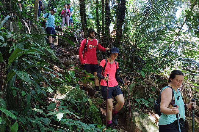 Small Group Hike to Saco Bravo Waterfall - Why Cachoeira do Saco Bravo feels like Paraty’s best kind of secret