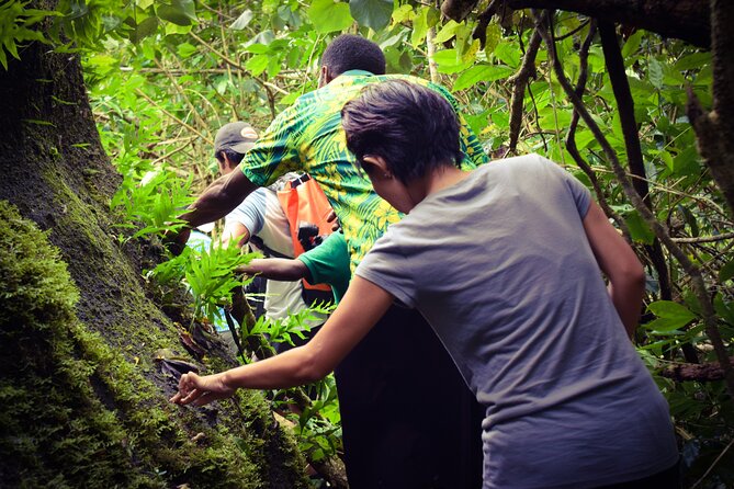 Small Group Hiking Adventure - Hidden Peaks - Kava ceremony and village time: meeting people, not just places