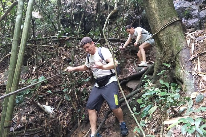 Small-Group Jungle Hiking Excursion in Khao Phra Teaw Park - Why Khao Phra Teaw Jungle Hiking Feels Different From Phuket Beach Days