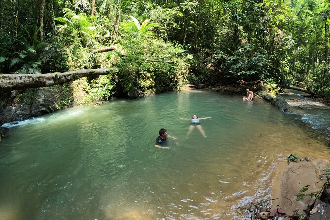 Small-Group Jungle Hiking Excursion in Khao Phra Teaw Park - Khao Phra Thaeo National Park: Bamboo, Bamboo, and More Bamboo