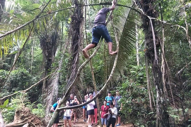 Small-Group Jungle Hiking Excursion in Khao Phra Teaw Park - The Mid-Hike Swim Break: Natural Jungle Pools Are the Mood Booster