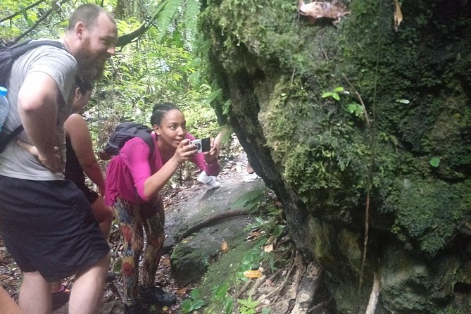 Small-Group Jungle Hiking Excursion in Khao Phra Teaw Park - Bang Pae Waterfall: The Final Payoff (Plus the “Get Your Shoes Wet” Moment)