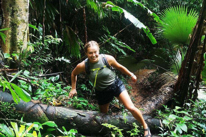 Small-Group Jungle Hiking Excursion in Khao Phra Teaw Park - Wildlife Spotting: How Gibbons and Termites Fit Into One Day