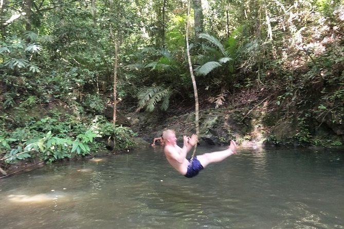Small-Group Jungle Hiking Excursion in Khao Phra Teaw Park - Thai Lunch After the Hike: Local-Style Food, Not Just Fuel