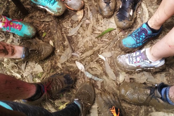 Small Group Waterfall and Rainforest Hiking Adventure on Maui - East Maui Rainforest Hike + Hana Highway: What You’re Really Buying