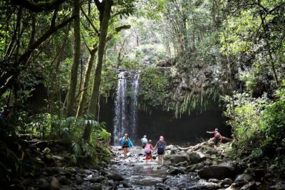 Small Group Waterfall and Rainforest Hiking Adventure on Maui - Kahului Park & Ride and the Road to Hana Sightseeing Stop