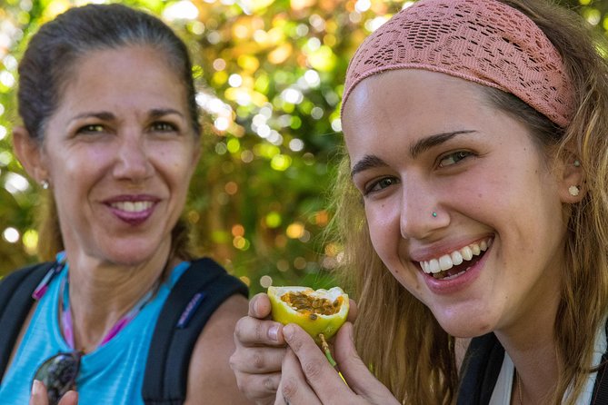 Small Group Waterfall and Rainforest Hiking Adventure on Maui - The Included Lunch and Snack Break That Actually Makes the Day Better
