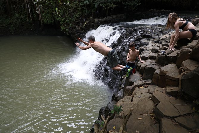 Small Group Waterfall and Rainforest Hiking Adventure on Maui - Price, Group Size, and How to Judge Value in Maui Dollars