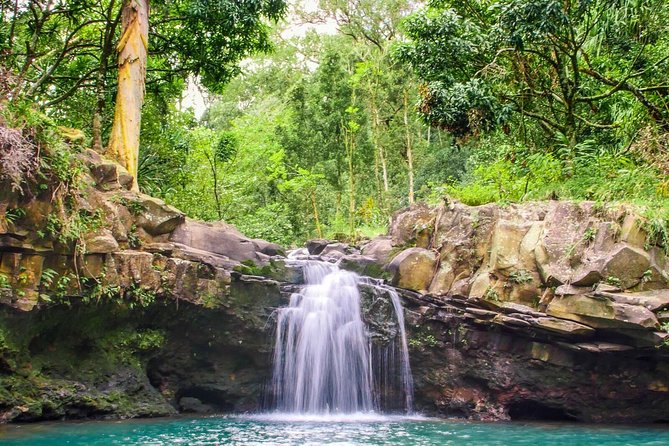 Small Group Waterfall and Rainforest Hiking Adventure on Maui - When Water Isn’t Picture-Perfect (and How to Handle It)