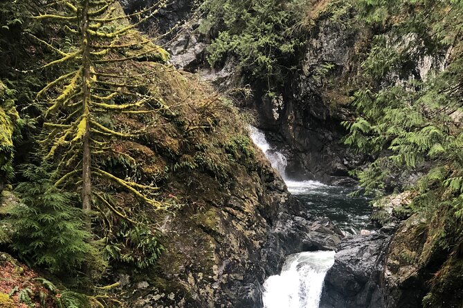 Snoqualmie falls and Twin Falls Hike - What makes Snoqualmie special besides the waterfall