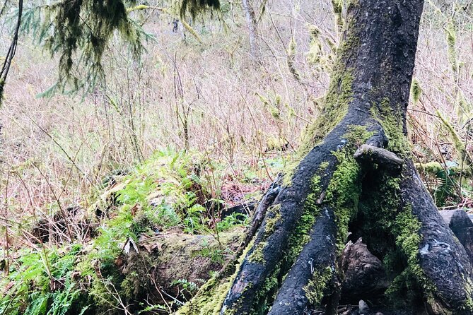Snoqualmie falls and Twin Falls Hike - The Snoqualmie pacing that keeps it from feeling rushed