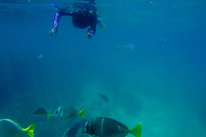 Snorkel Adventure and Hike to a Hidden Beach - Gear, comfort, and safety details that make a difference