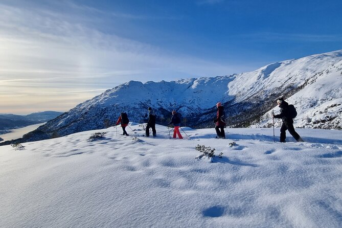Snowshoe hiking in Bergen - Public tour - Key highlights worth your attention