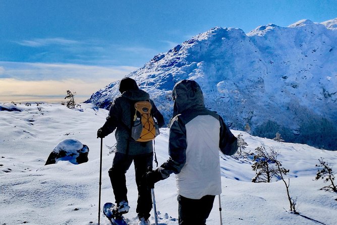 Snowshoe hiking in Bergen - Public tour - Stop at Gullbotn skiløype: a practical winter trail, not a gimmick