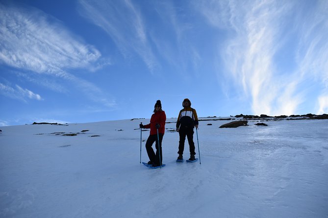 Snowshoe hiking in Sierra Nevada (Granada) - Key things to know before you go