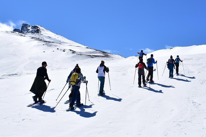 Snowshoe hiking in Sierra Nevada (Granada) - Why Snowshoe Hiking from Granada Feels Like a Small Adventure