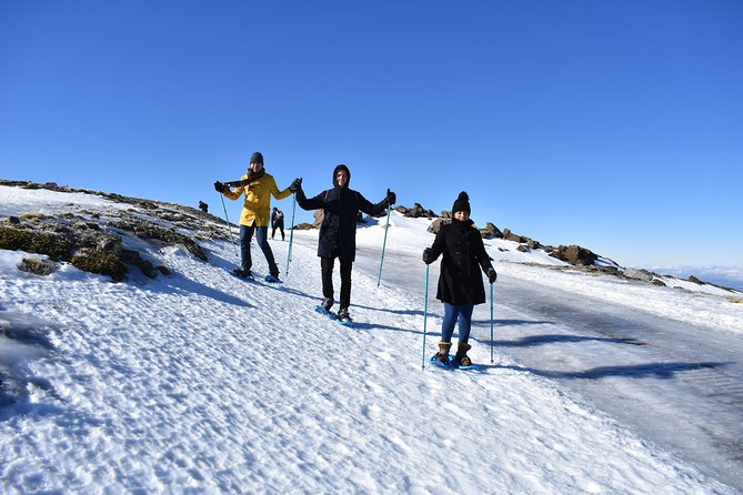Snowshoe hiking in Sierra Nevada (Granada) - Price and Value: Is $62.65 a Good Deal?
