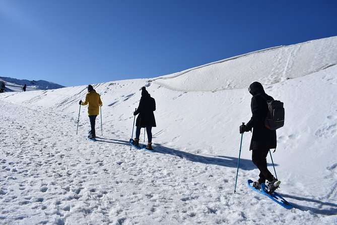 Snowshoe hiking in Sierra Nevada (Granada) - Snowshoes, Safety, and the Effort Level (What You Should Plan For)