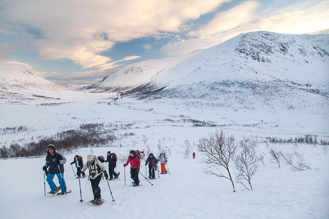 Snowshoe Hill Hike in Tromsø - Why Snowshoe Hill is such a smart Tromsø winter choice