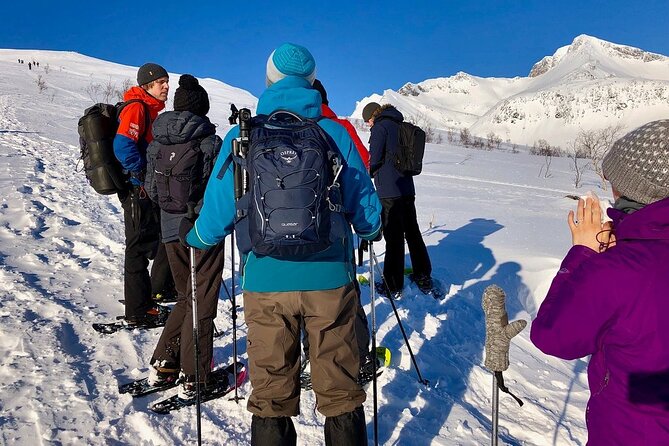 Snowshoe Hill Hike in Tromsø - The climb: snowy terrain, summit target, and steady pacing