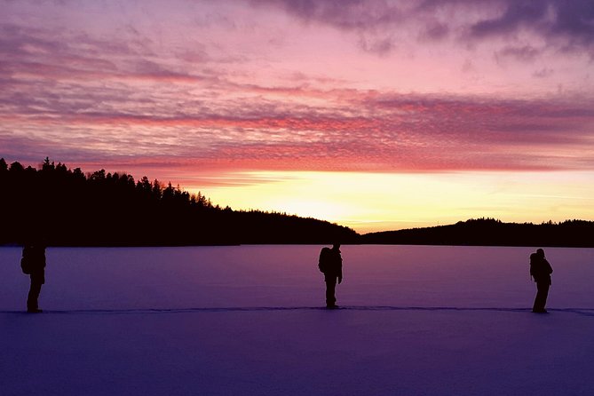 Snowshoe Winter Hike from Stockholm - A winter day outside the city that actually feels like nature