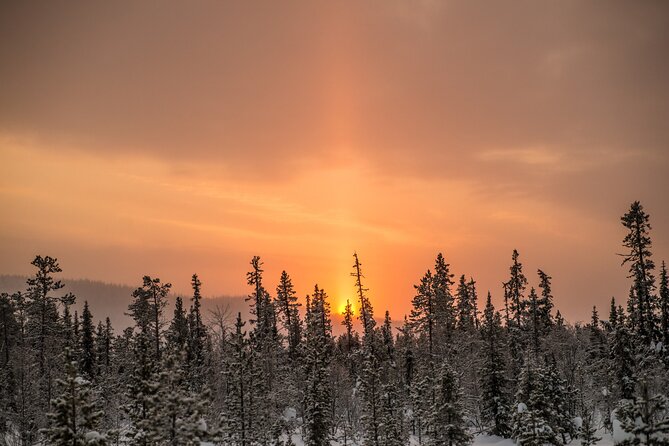 Snowshoe Winter Hike from Stockholm - Entering the National Park or Nature Reserve: what the hike is like