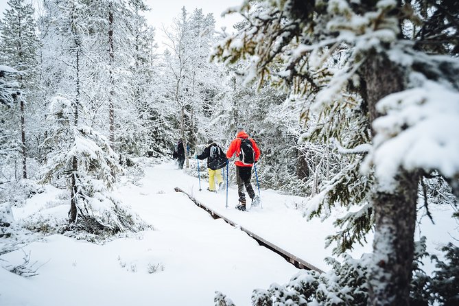 Snowshoe Winter Hike from Stockholm - Meeting at Tideliusgatan and heading out by minibus