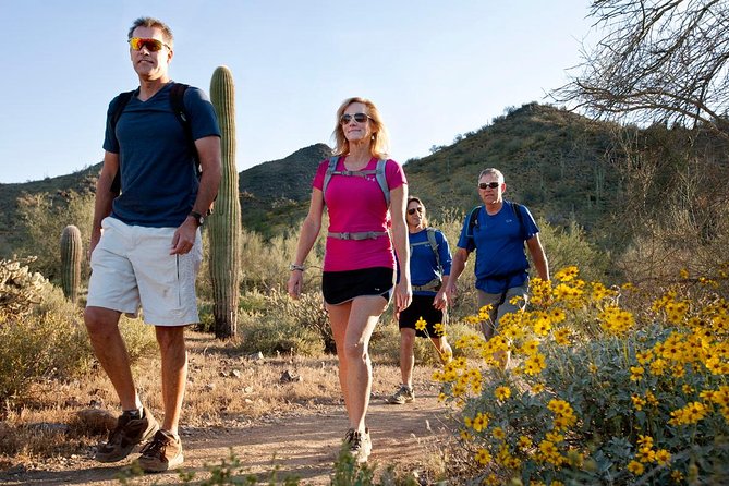 Sonoran Desert Guided Hike - Early-morning hikes around Scottsdale actually feel smarter