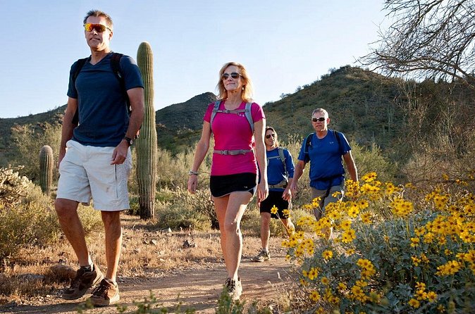 Sonoran Desert Guided Hike - Price and value: is $89 a good deal for a desert guide?
