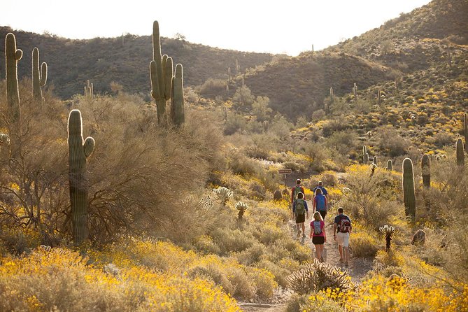 Sonoran Desert Guided Hike - Who should book this Sonoran Desert guided hike—and who might not