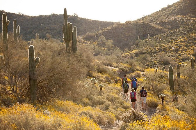 Sonoran Desert Guided Hike - How to get the most from the briefing and the route changes