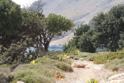 South Crete: Sarakinas Gorge Hike, Swim & Jeep Safari - The real star: Sarakinas Gorge on foot