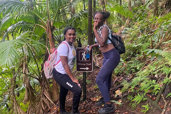 St.Kitts Volcano Hike To Mt. Liamuiga (Highest Peak On Island) - Guides on the ground: Jay and the team vibe