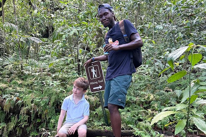 St.Kitts Volcano Hike To Mt. Liamuiga (Highest Peak On Island) - Getting there: pickup, small-group transport, and what to expect