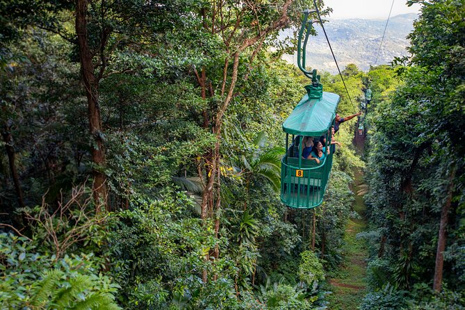St Lucia Ultimate 3: Aerial Tram, Zipline and Hiking at Rainforest Adventures - Key things to know before you book