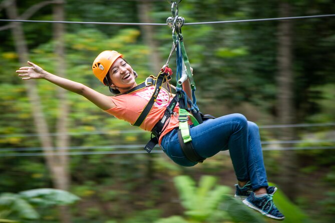 St Lucia Ultimate 3: Aerial Tram, Zipline and Hiking at Rainforest Adventures - A 3-in-1 rainforest plan that saves your day