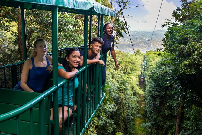 St Lucia Ultimate 3: Aerial Tram, Zipline and Hiking at Rainforest Adventures - The aerial tram ride: rainforest views with a calmer pace