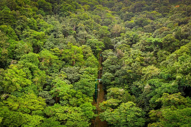 St Lucia Ultimate 3: Aerial Tram, Zipline and Hiking at Rainforest Adventures - From top station to canopy start: a short walk that matters