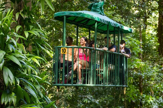 St Lucia Ultimate 3: Aerial Tram, Zipline and Hiking at Rainforest Adventures - The hike back through the rainforest: spotting life at ground level